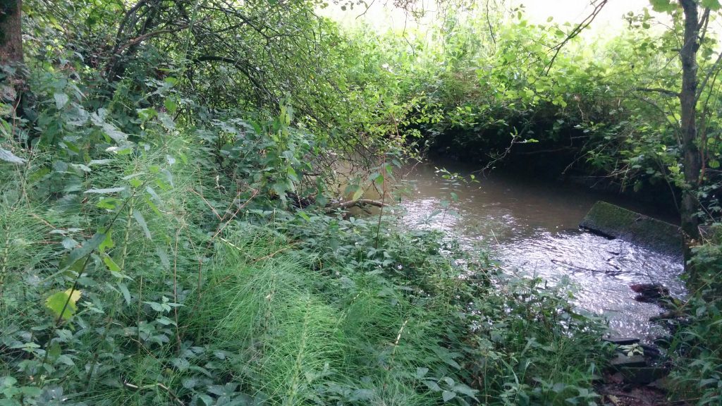 IMG_20160729_125722